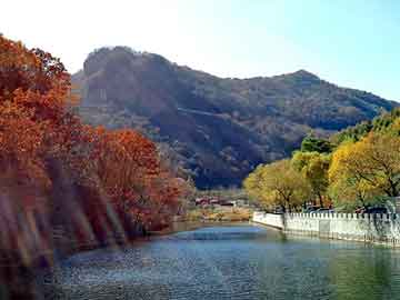 新澳天天开奖资料大全旅游团，平板水位计